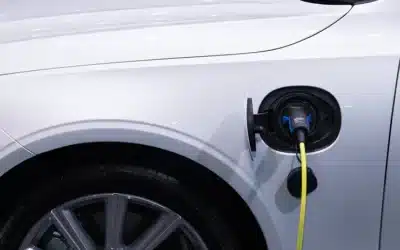 8 ways to live a more sustainable life